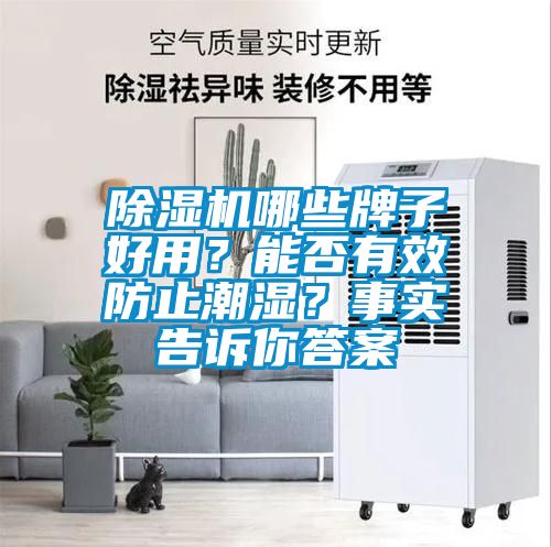 除濕機哪些牌子好用？能否有效防止潮濕？事實告訴你答案