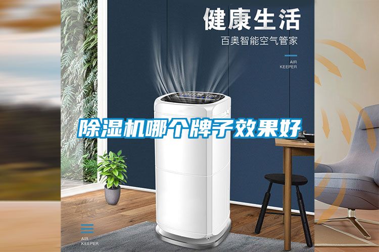除濕機哪個牌子效果好