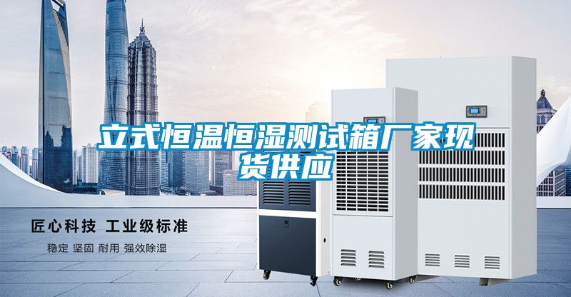 立式恒溫恒濕測試箱廠家現貨供應