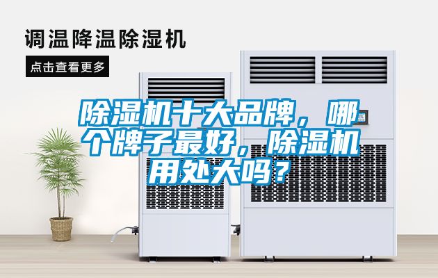 除濕機十大品牌，哪個牌子最好，除濕機用處大嗎？