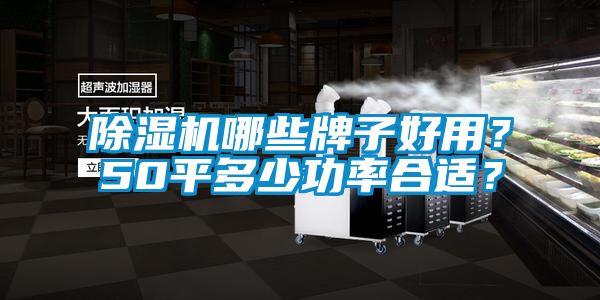除濕機哪些牌子好用？50平多少功率合適？