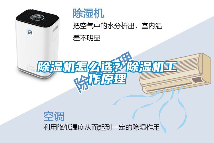 除濕機(jī)怎么選？除濕機(jī)工作原理