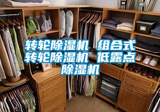 轉輪除濕機 組合式轉輪除濕機 低露點除濕機
