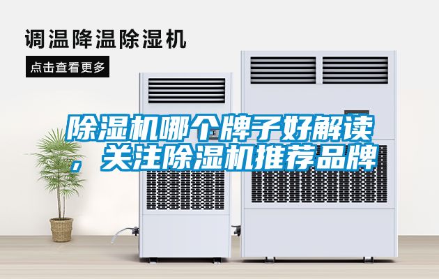 除濕機哪個牌子好解讀，關(guān)注除濕機推薦品牌