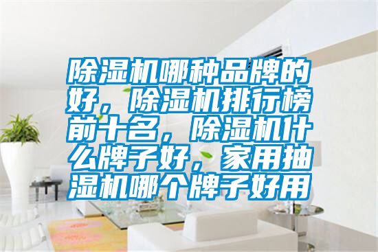 除濕機哪種品牌的好，除濕機排行榜前十名，除濕機什么牌子好，家用抽濕機哪個牌子好用