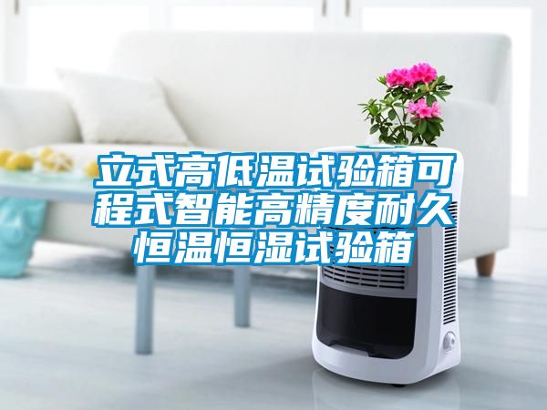 立式高低溫試驗箱可程式智能高精度耐久恒溫恒濕試驗箱