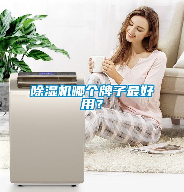 除濕機哪個牌子最好用？