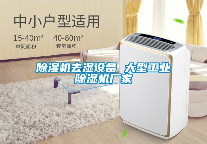 除濕機去濕設備 大型工業除濕機廠家