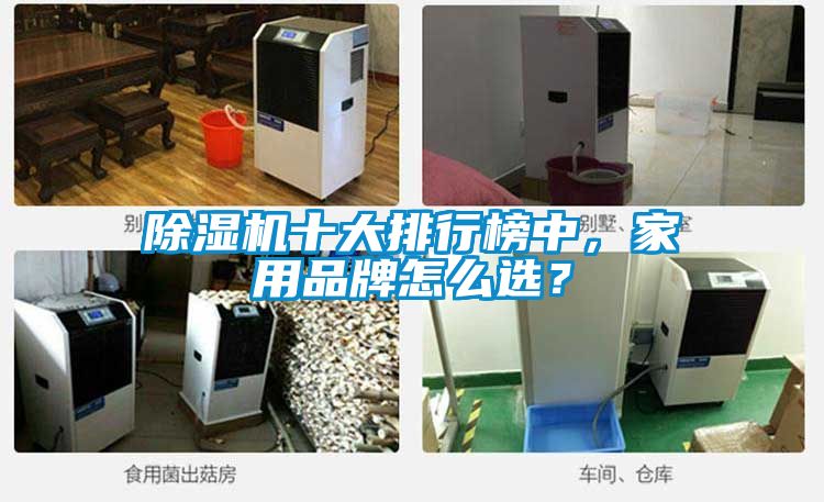 除濕機十大排行榜中，家用品牌怎么選？