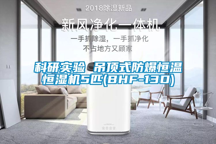 科研實驗 吊頂式防爆恒溫恒濕機(jī)5匹(BHF-13D)