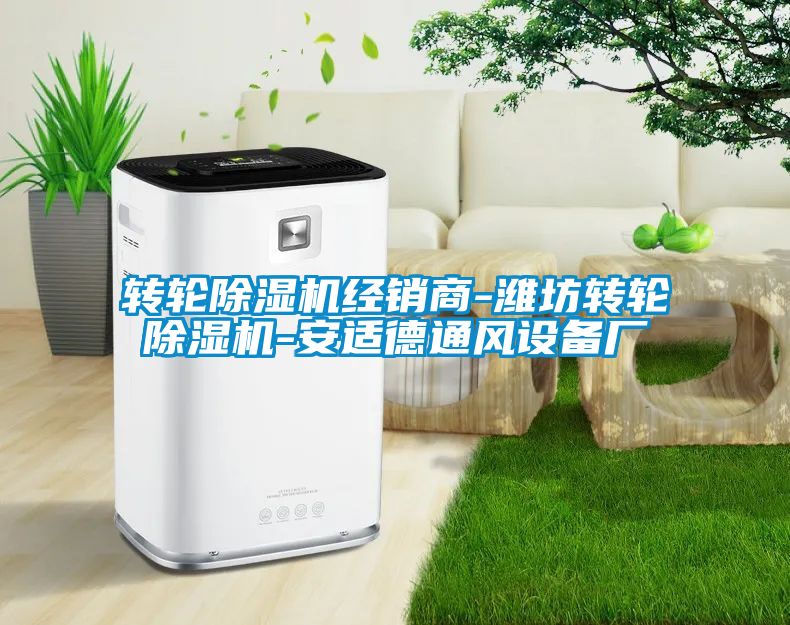 轉(zhuǎn)輪除濕機(jī)經(jīng)銷(xiāo)商-濰坊轉(zhuǎn)輪除濕機(jī)-安適德通風(fēng)設(shè)備廠(chǎng)