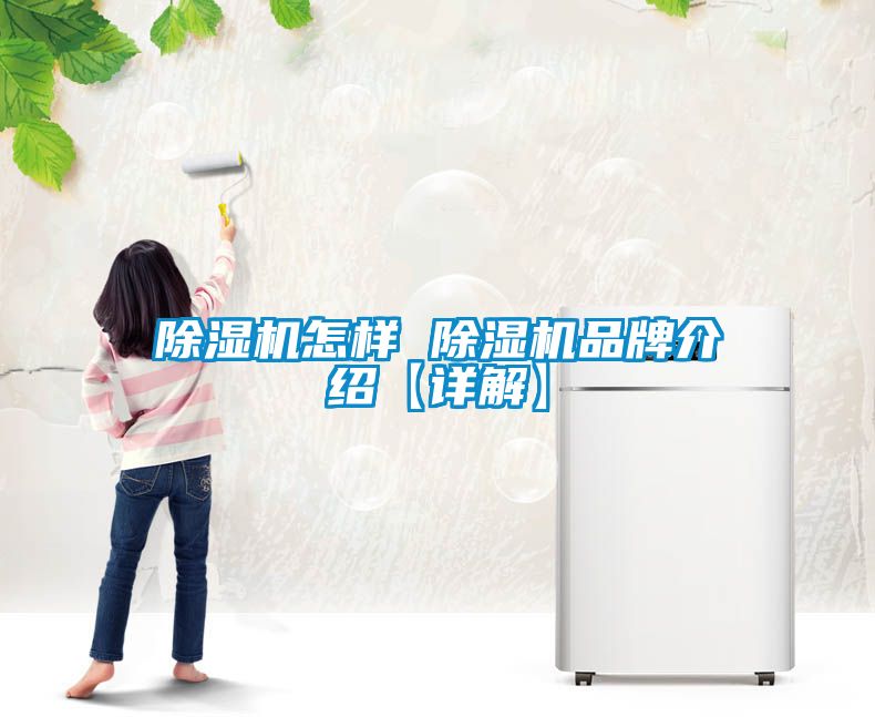 除濕機怎樣 除濕機品牌介紹【詳解】