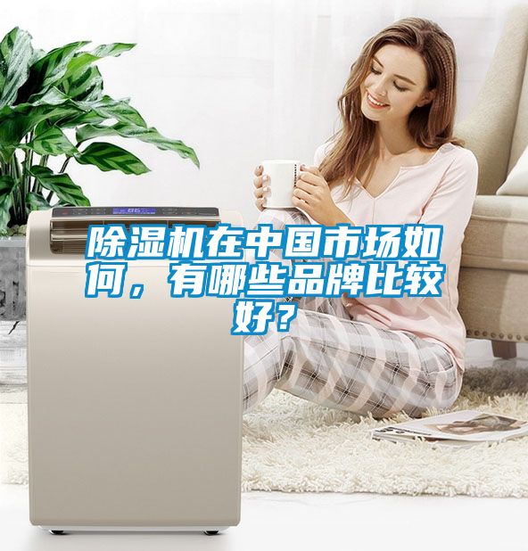 除濕機在中國市場如何，有哪些品牌比較好？