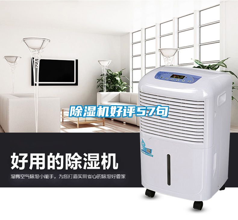 除濕機(jī)好評(píng)57句