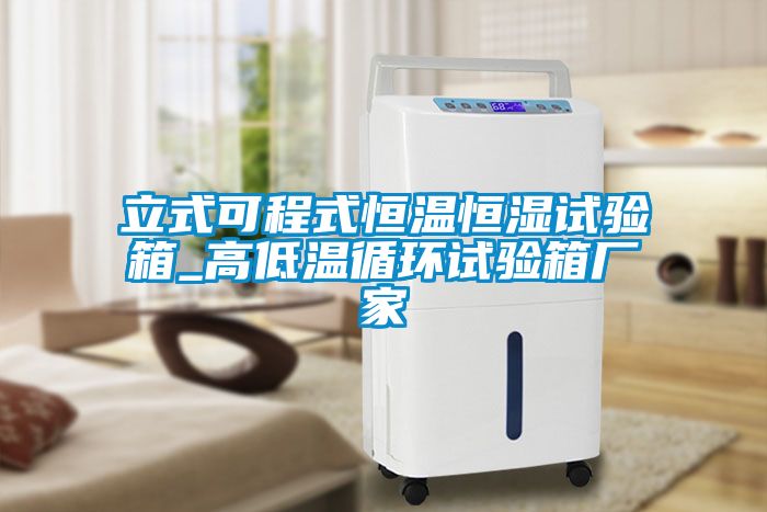 立式可程式恒溫恒濕試驗箱_高低溫循環試驗箱廠家