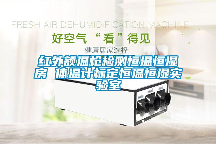 紅外額溫槍檢測恒溫恒濕房 體溫計(jì)標(biāo)定恒溫恒濕實(shí)驗(yàn)室