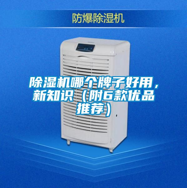 除濕機哪個牌子好用，新知識（附6款優品推薦）