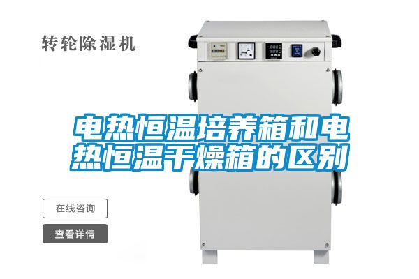 電熱恒溫培養箱和電熱恒溫干燥箱的區別
