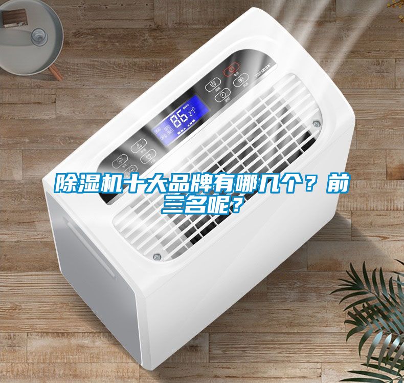 除濕機十大品牌有哪幾個？前三名呢？