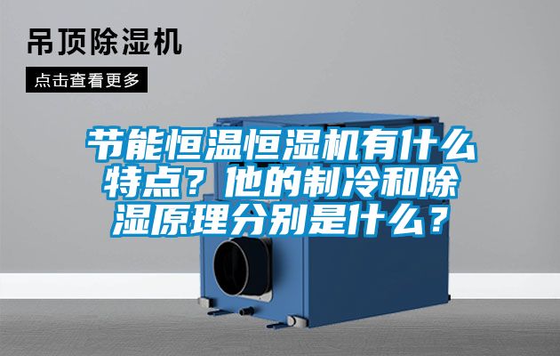 節(jié)能恒溫恒濕機(jī)有什么特點(diǎn)？他的制冷和除濕原理分別是什么？