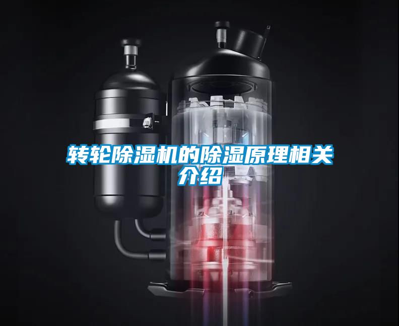 轉輪除濕機的除濕原理相關介紹