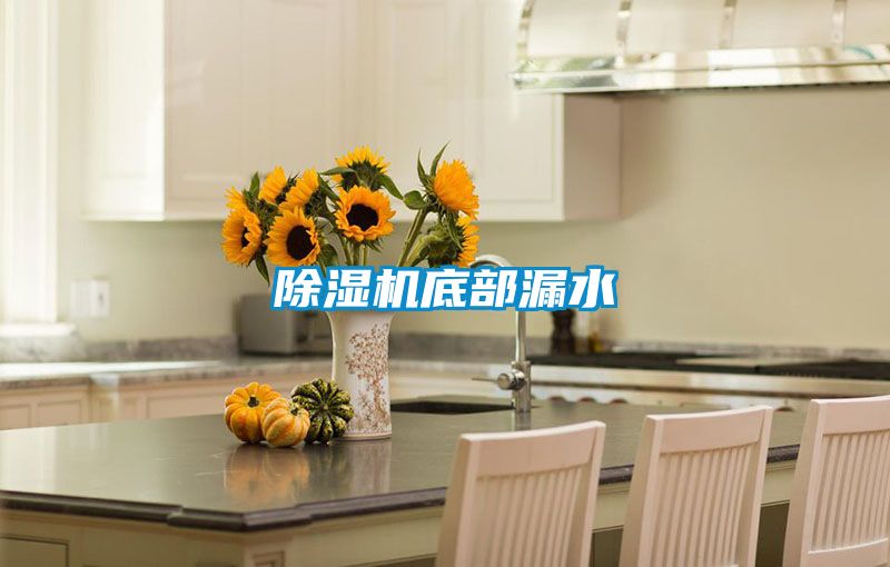 除濕機底部漏水