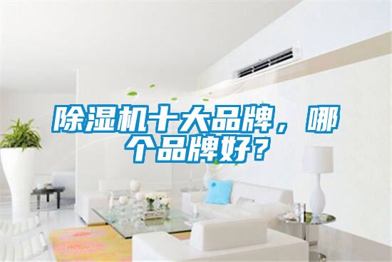 除濕機十大品牌，哪個品牌好？