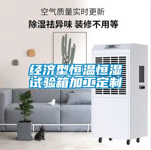 經(jīng)濟型恒溫恒濕試驗箱加工定制