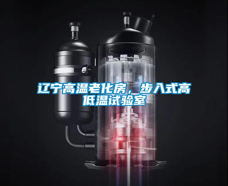 遼寧高溫老化房，步入式高低溫試驗室