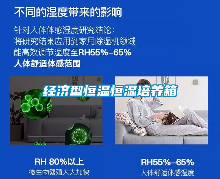 經(jīng)濟型恒溫恒濕培養(yǎng)箱