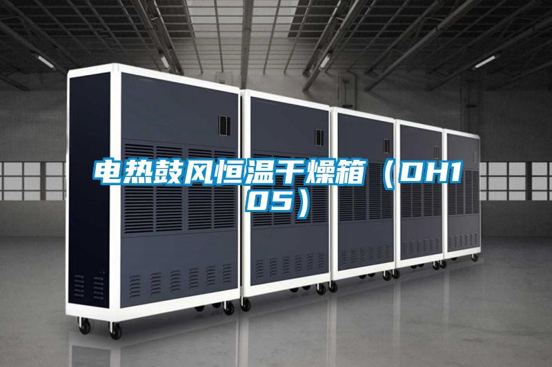 電熱鼓風恒溫干燥箱（DH105）