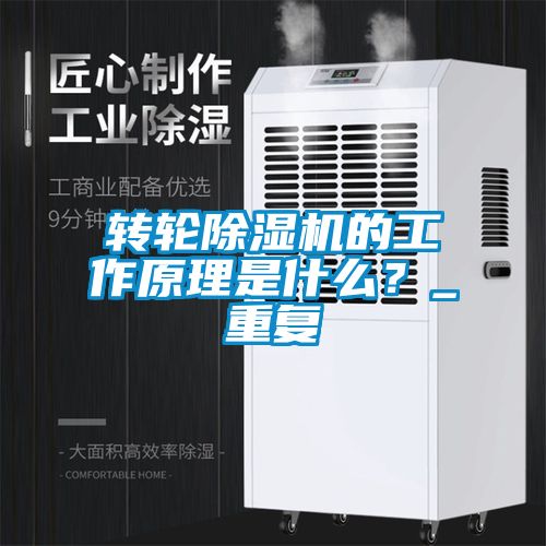 轉(zhuǎn)輪除濕機的工作原理是什么？_重復