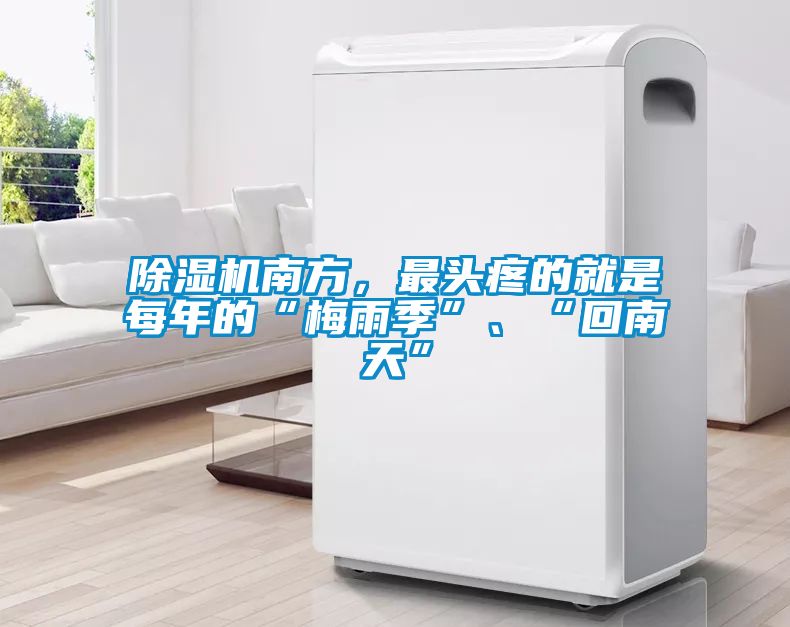 除濕機南方，最頭疼的就是每年的“梅雨季”、“回南天”