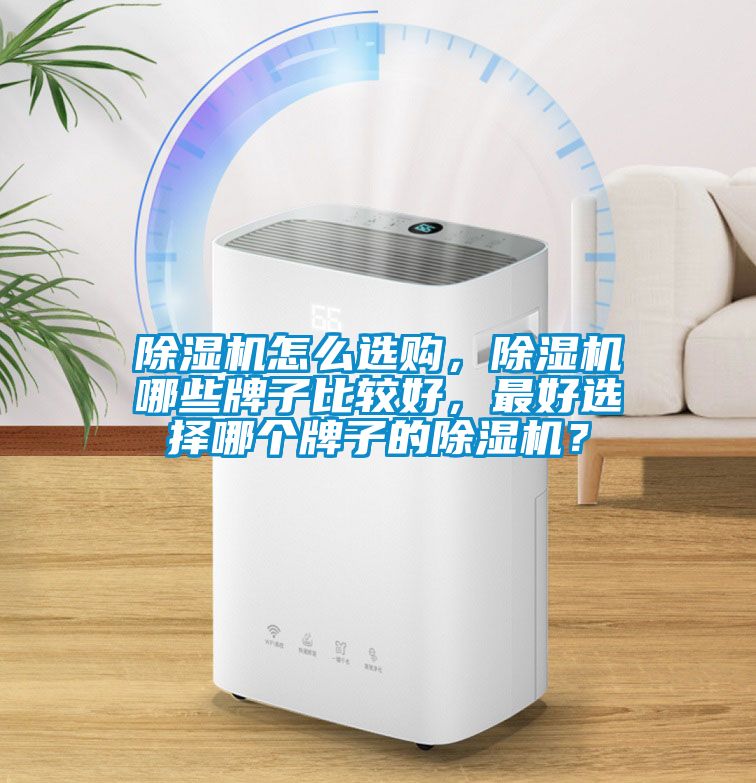 除濕機(jī)怎么選購，除濕機(jī)哪些牌子比較好，最好選擇哪個牌子的除濕機(jī)？