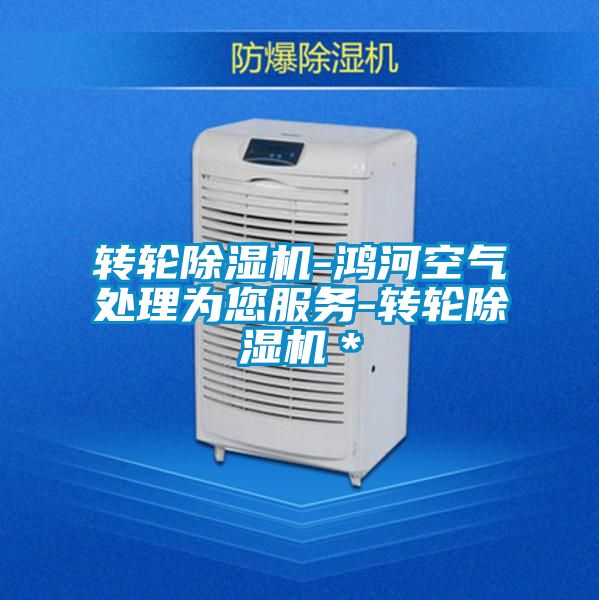 轉輪除濕機-鴻河空氣處理為您服務-轉輪除濕機＊