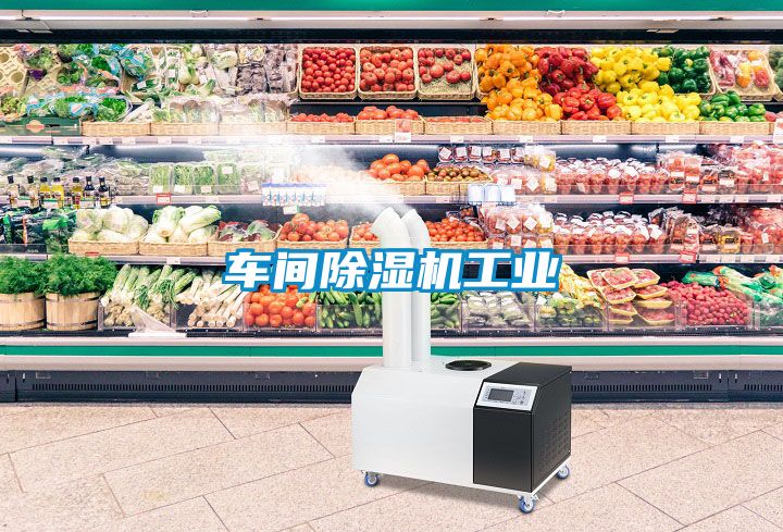 車間除濕機工業