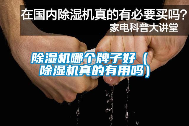 除濕機哪個牌子好（ 除濕機真的有用嗎）