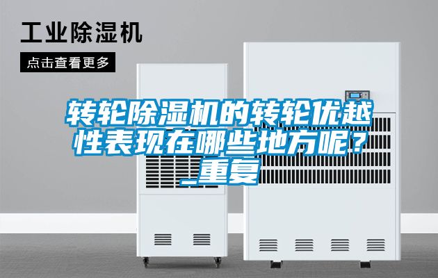 轉輪除濕機的轉輪優越性表現在哪些地方呢？_重復