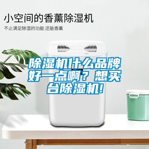 除濕機什么品牌好一點啊？想買臺除濕機!