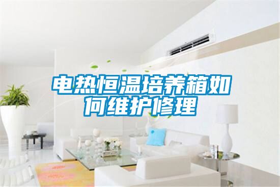 電熱恒溫培養箱如何維護修理
