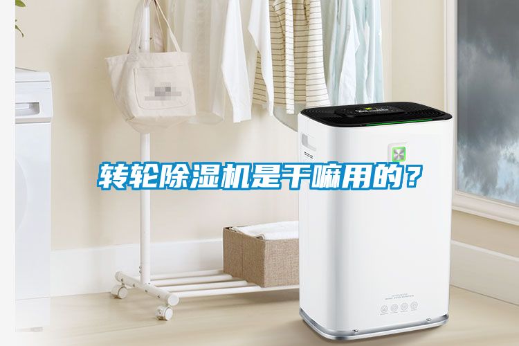 轉(zhuǎn)輪除濕機(jī)是干嘛用的？