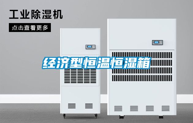 經(jīng)濟型恒溫恒濕箱