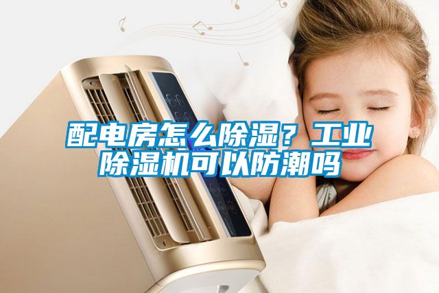 配電房怎么除濕？工業(yè)除濕機(jī)可以防潮嗎