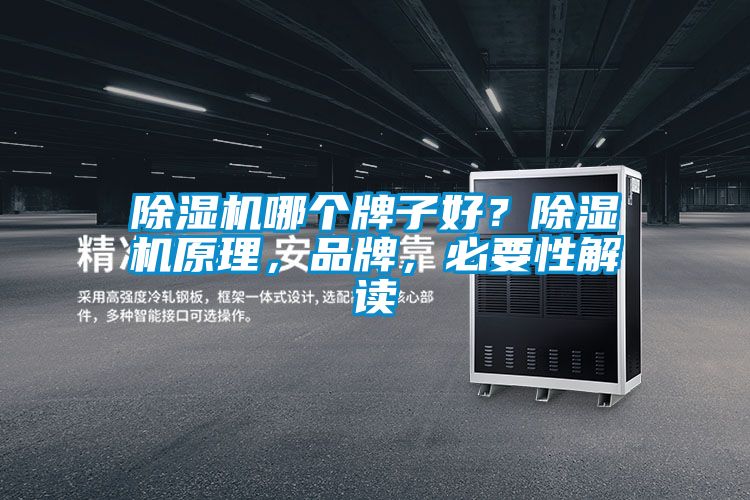 除濕機哪個牌子好？除濕機原理，品牌，必要性解讀