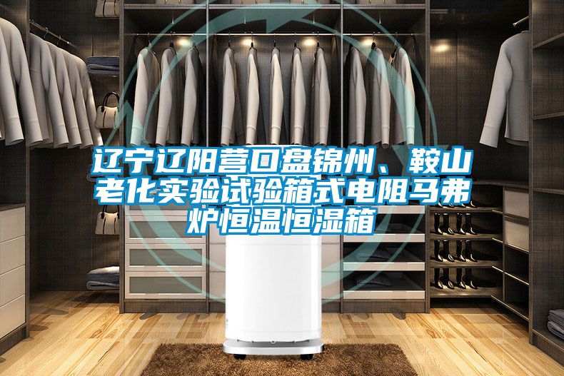 遼寧遼陽營口盤錦州、鞍山老化實(shí)驗(yàn)試驗(yàn)箱式電阻馬弗爐恒溫恒濕箱