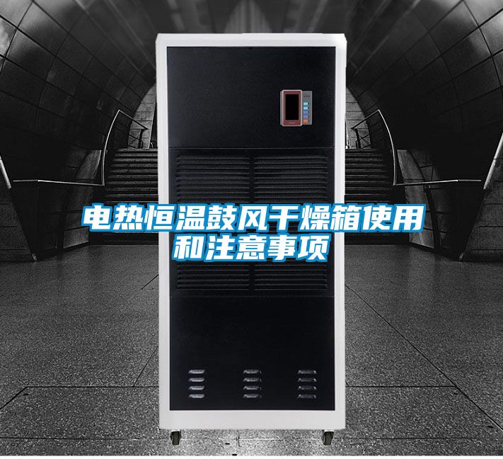 電熱恒溫鼓風干燥箱使用和注意事項