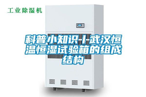 科普小知識丨武漢恒溫恒濕試驗箱的組成結(jié)構(gòu)