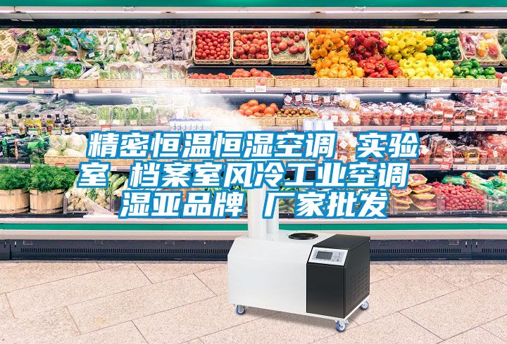 精密恒溫恒濕空調(diào) 實驗室 檔案室風冷工業(yè)空調(diào) 濕亞品牌 廠家批發(fā)