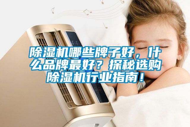 除濕機哪些牌子好，什么品牌最好？探秘選購除濕機行業指南！