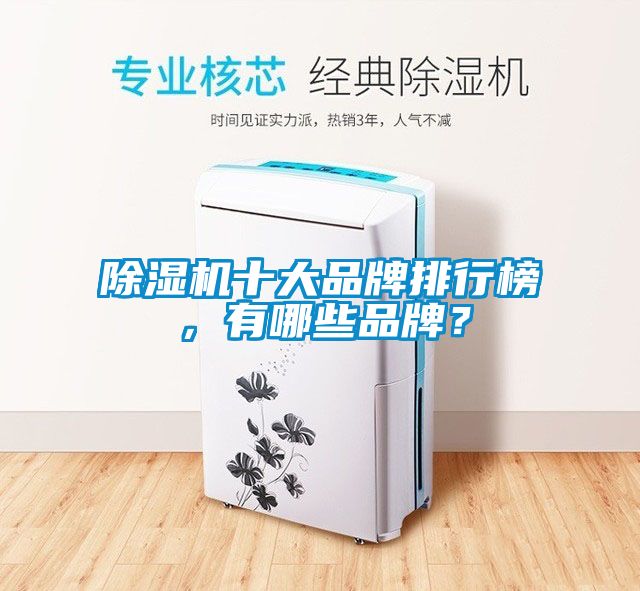 除濕機十大品牌排行榜，有哪些品牌？
